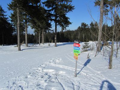 Cross Country ski tracks in Oberwiesenthal